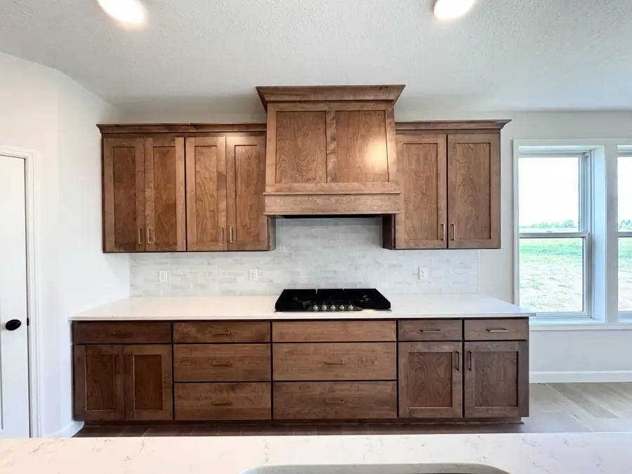 18661 Icebox Lane, Lakeville, MN 55044 - #3