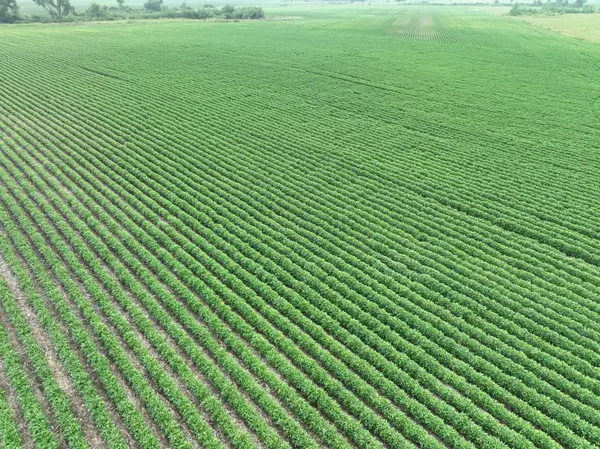 000 45th Street Ne, Benson, MN 56215