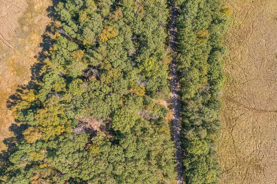 Tract D TBD Little Pine Road, Brainerd, MN 56401 - Image #2