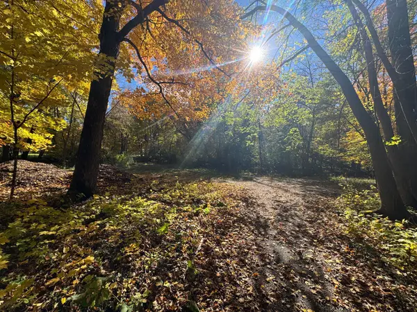 TBD Selnes Rd, Glenwood, MN 56334