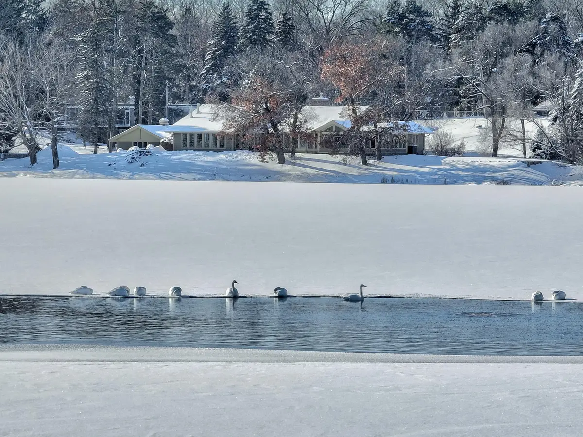 4 W Shore Road, Saint Paul, MN 55127 - Image #1