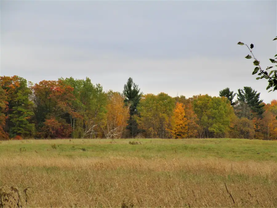 Parcel 3 90th Street, Frederic, WI 54837 - Image #2