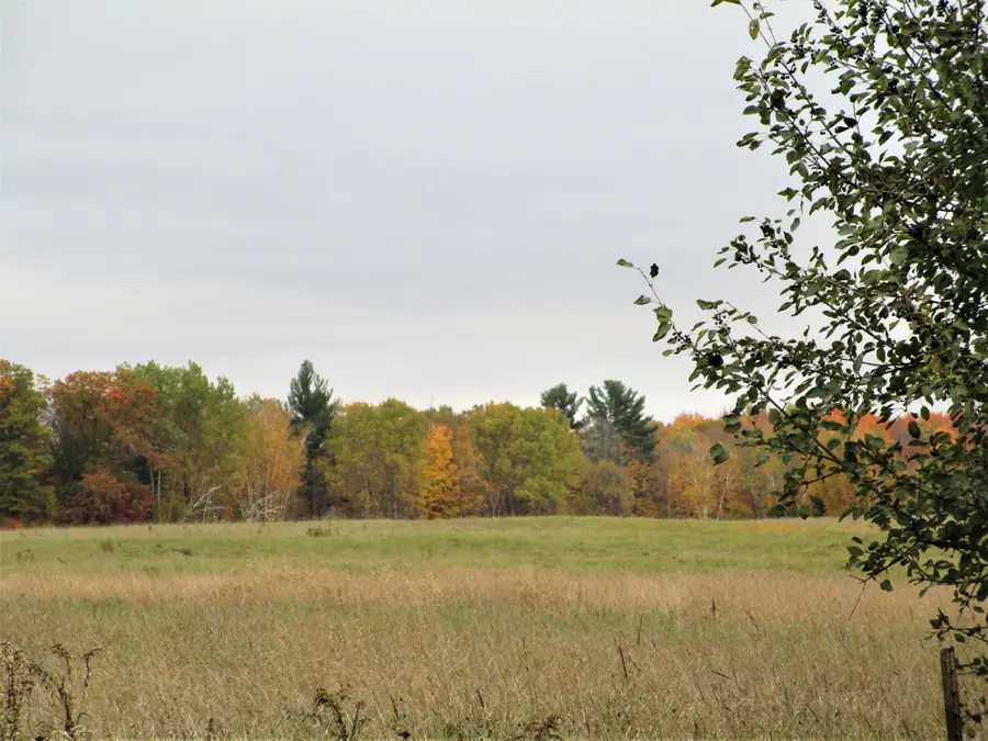 Parcel 3 90th Street, Frederic, WI 54837 - Image #3