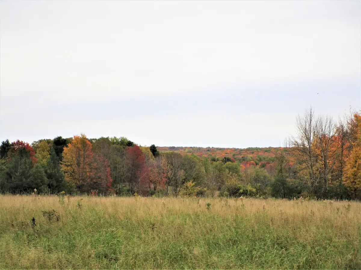 Parcel 4 90th Street, Frederic, WI 54837 - Image #1