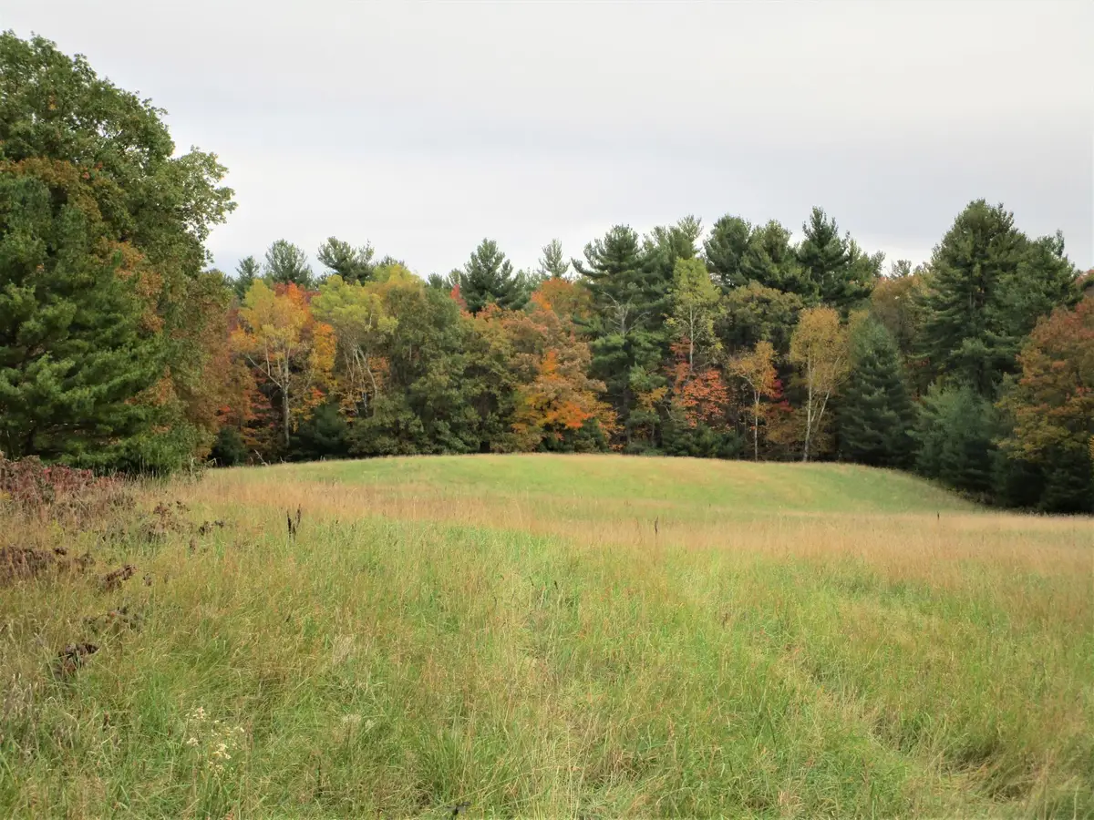 Parcel 6 340th Avenue, Frederic, WI 54837 - #1