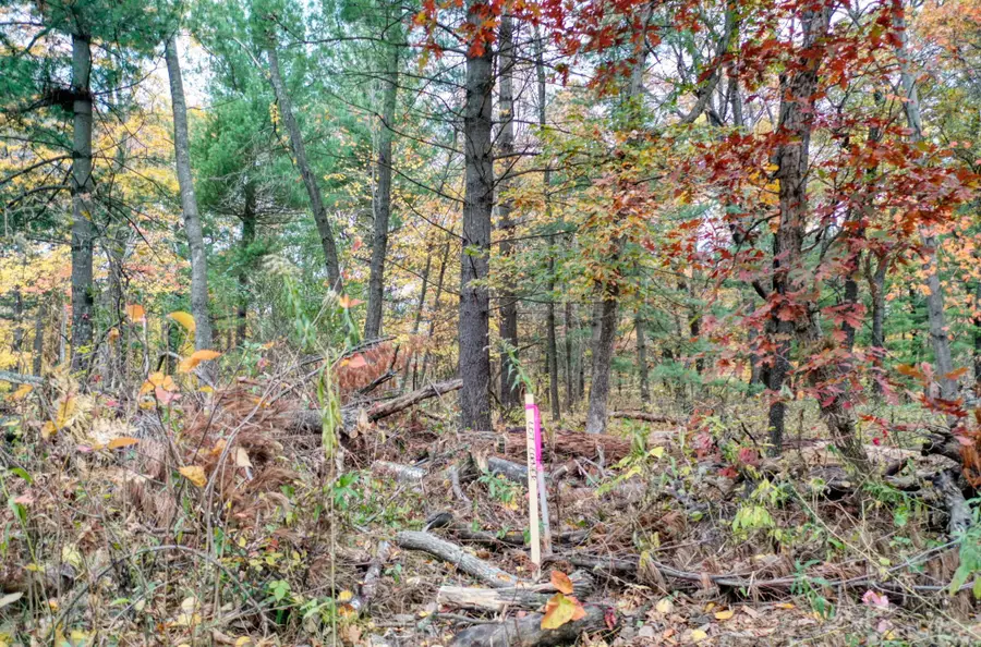 TBD 241st., Stacy, MN 55079 - Image #2