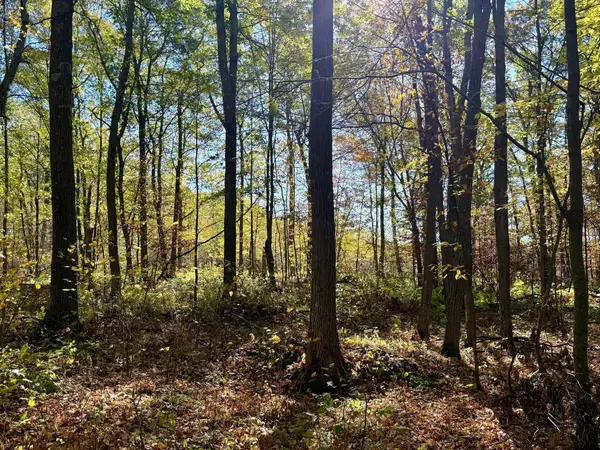 TBD County Rd.8, Brainerd, MN 56401