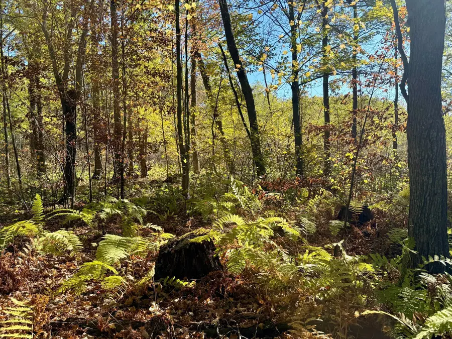 TBD County Rd.8, Brainerd, MN 56401 - Image #2