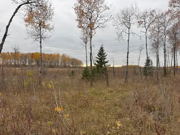 12031 State 64, Akeley, MN 56433