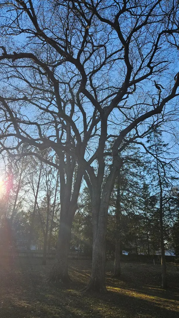 5920 Hodgson Road, Saint Paul, MN 55126