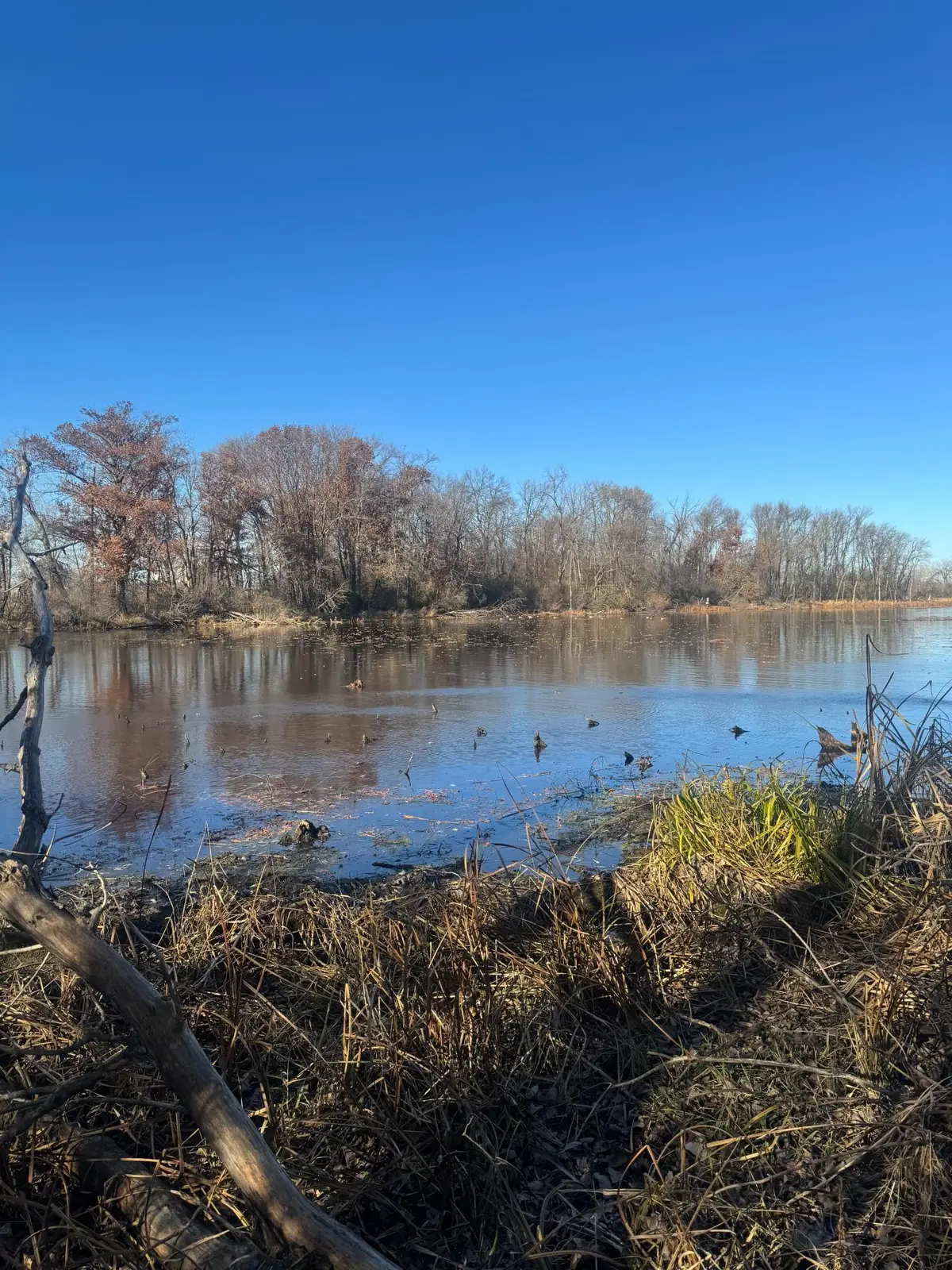 816 30th Street Nw, Faribault, MN 55021 - #1