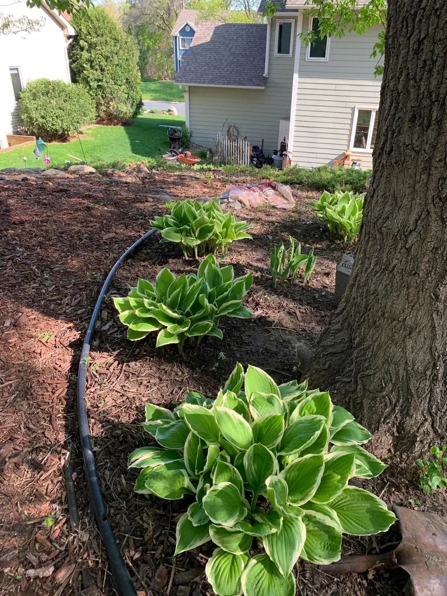 9780 170th Street W, Lakeville, MN 55044 - #2