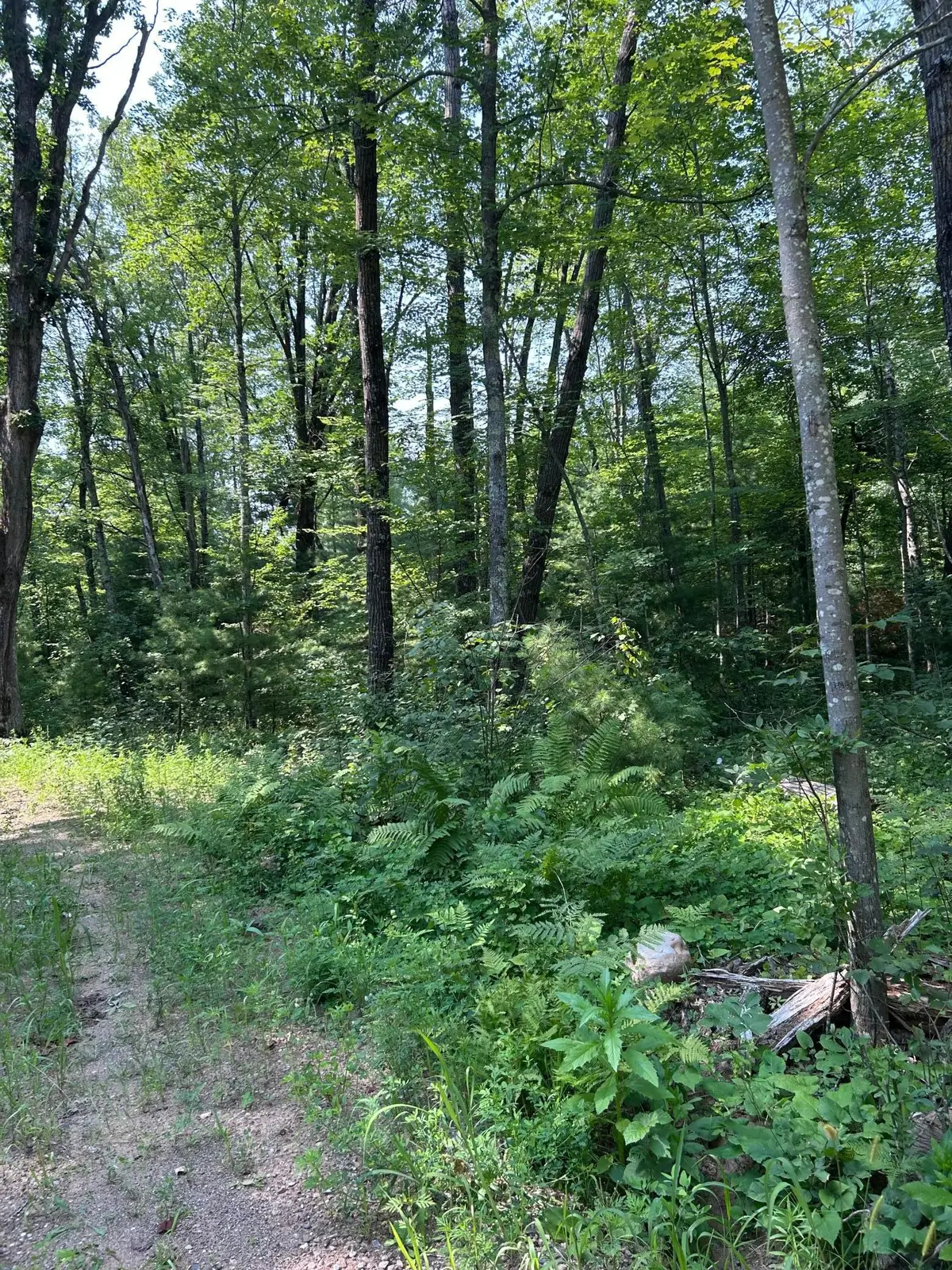 26987 Marias Way, Webster, WI 54893 - #1