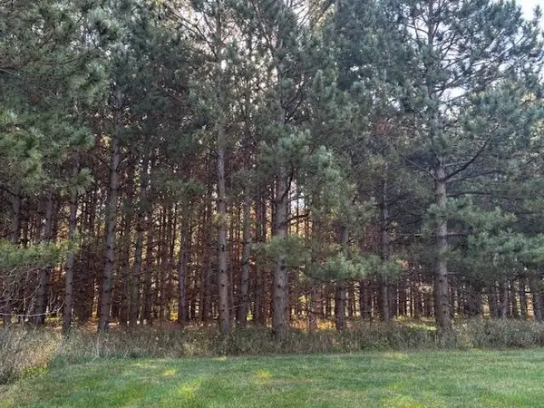 xxx Emerald Court Ne, Carlos, MN 56319