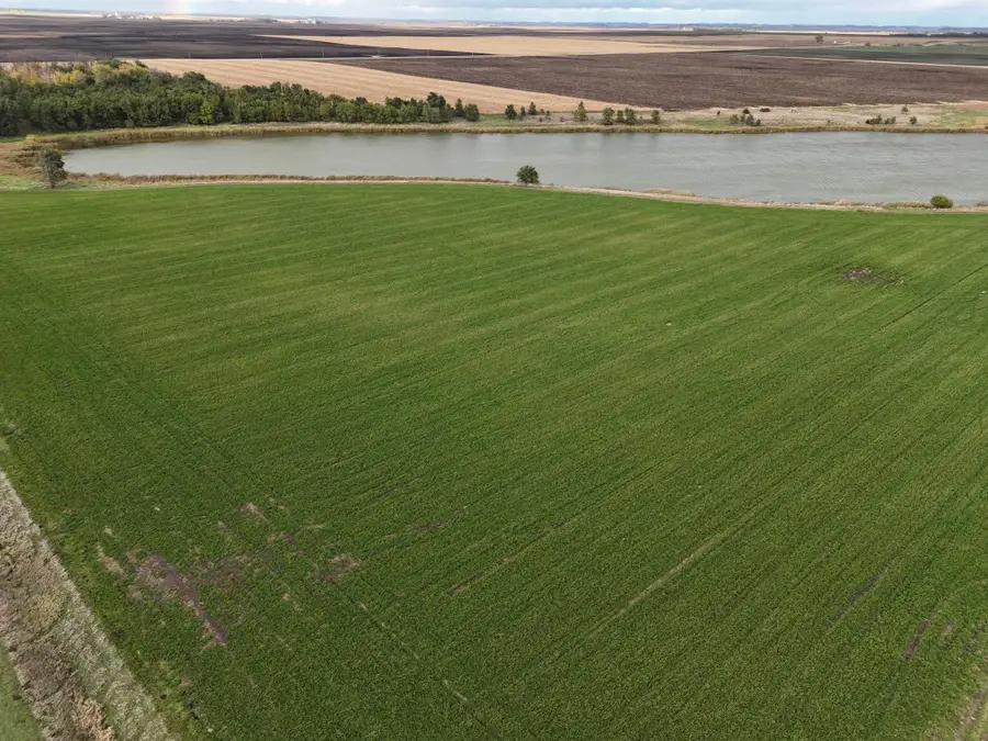 XXXXX 540th Avenue, Alberta, MN 56207 - Image #3