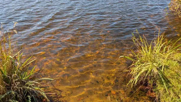 24608 E Long Lake Road, Bigfork, MN 56628