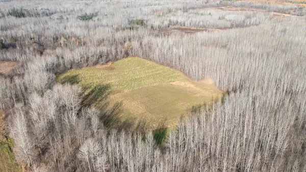 11680 County 59 Road, Orr, MN 55771