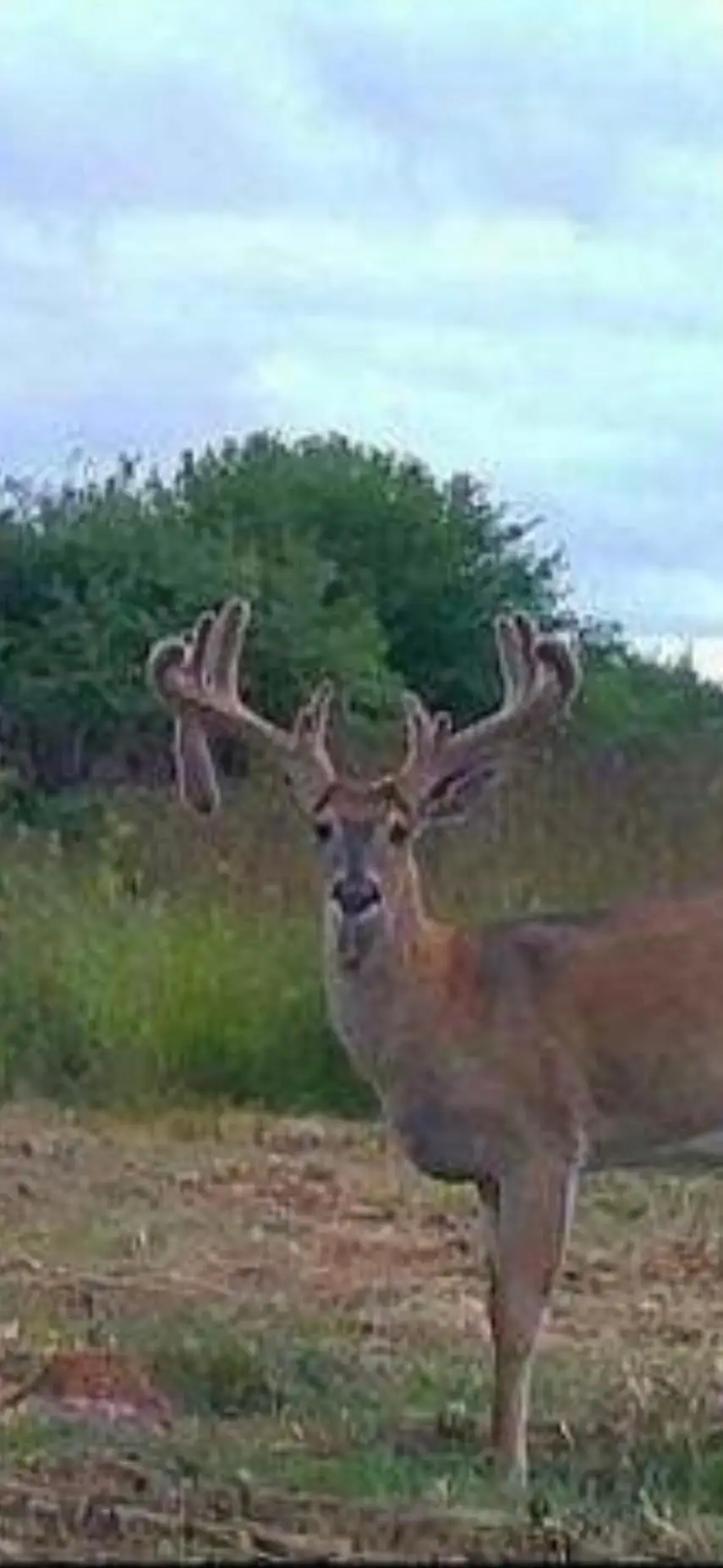 TBD 230th Street, Worthington, MN 56187 - Image #3