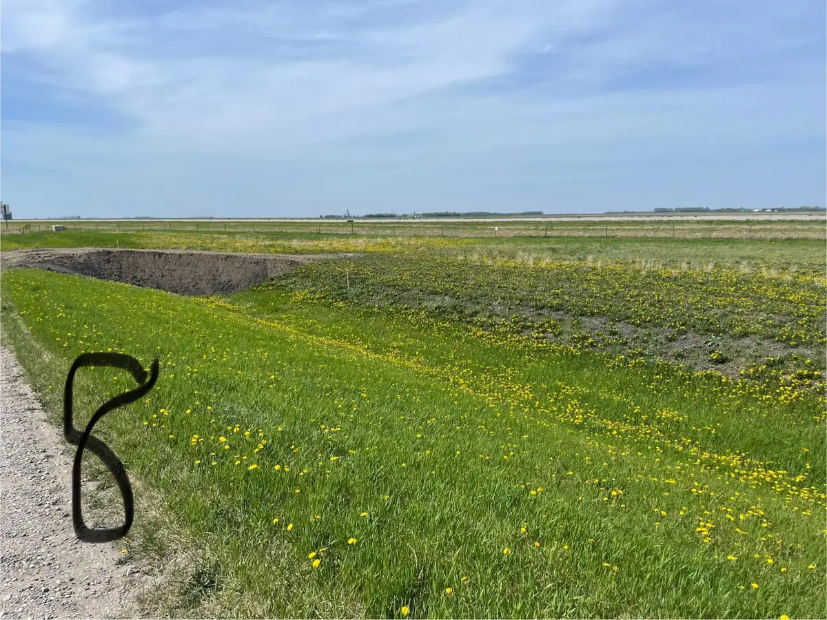 Lot 8 County Line Addition, Grandin, ND 58038 - #1