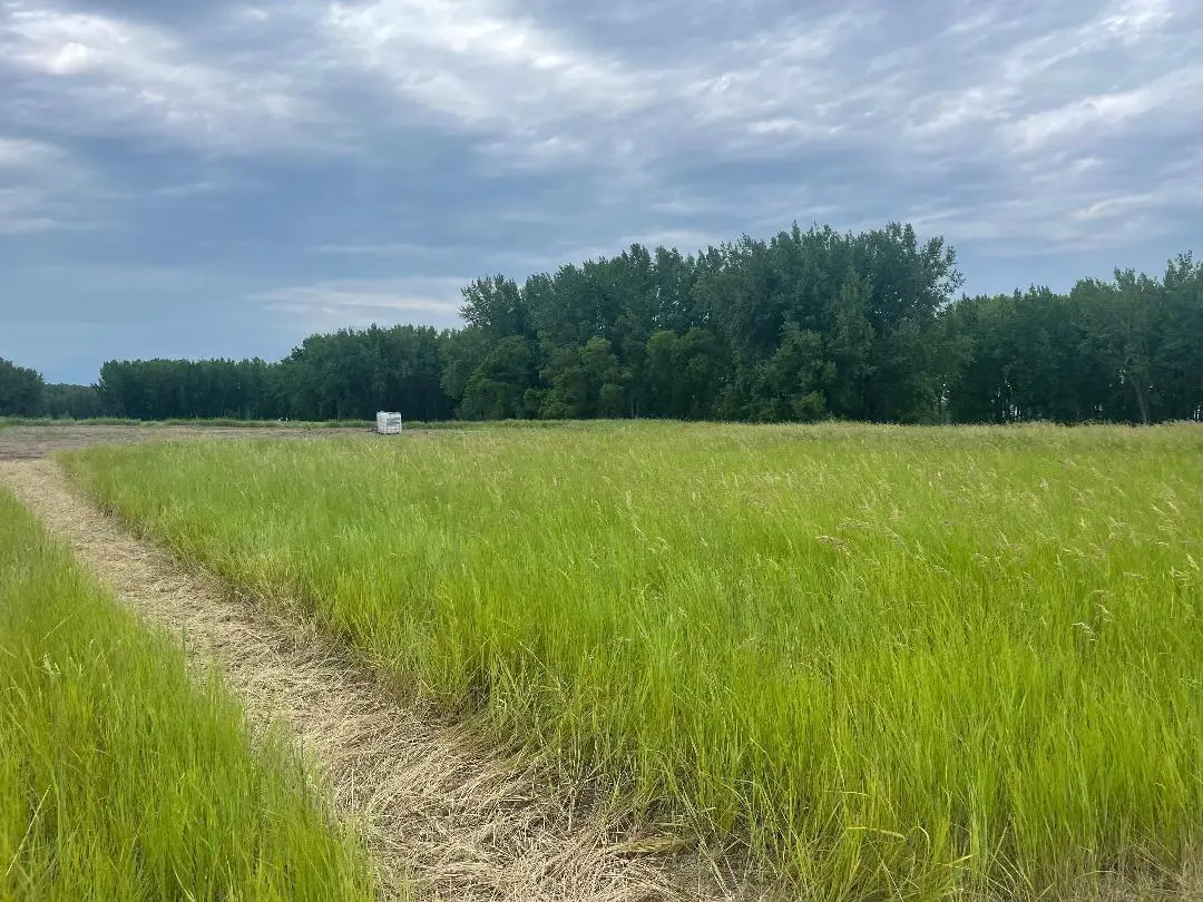 10220 State Hwy 9 S, Barnesville, MN 56514 - Image #1