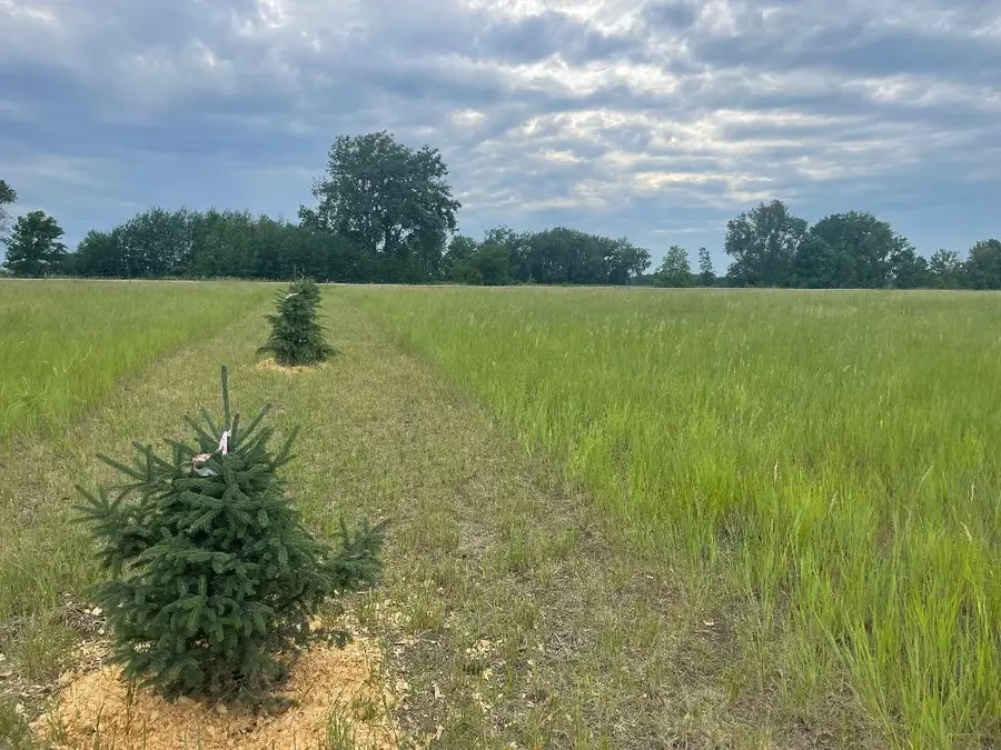 10486 State Hwy 9 S, Barnesville, MN 56514 - Image #2