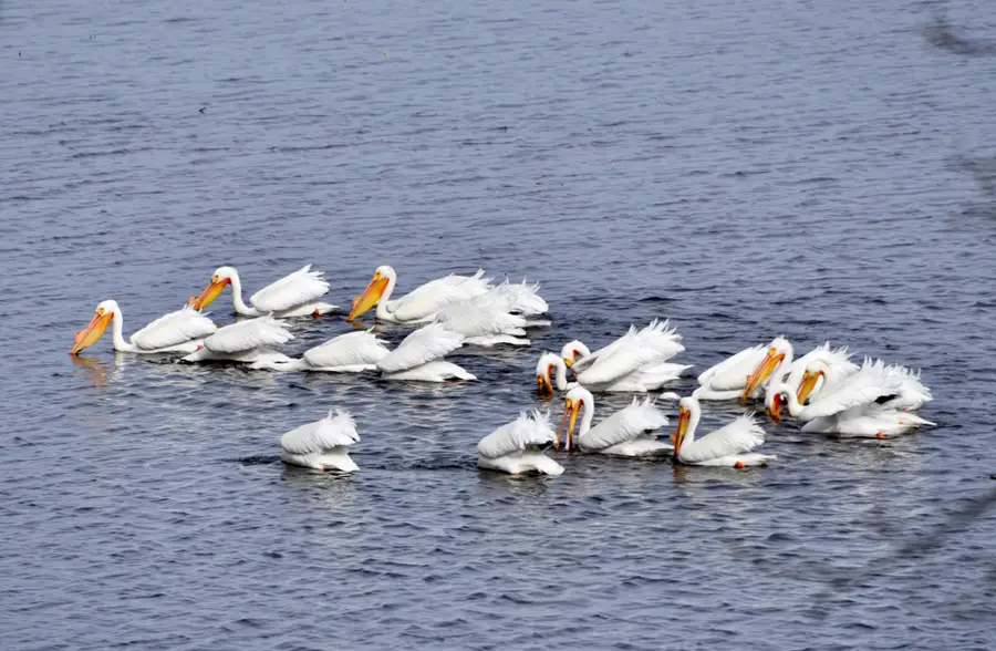 1415 223rd Avenue, Ogilvie, MN 56358 - #3