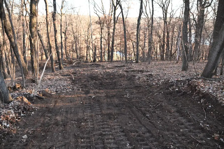 TBD Overland Drive, Browerville, MN 56438 - Image #2