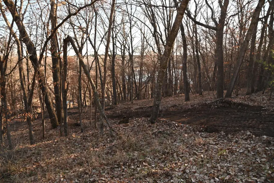 TBD Overland Drive, Browerville, MN 56438 - Image #3