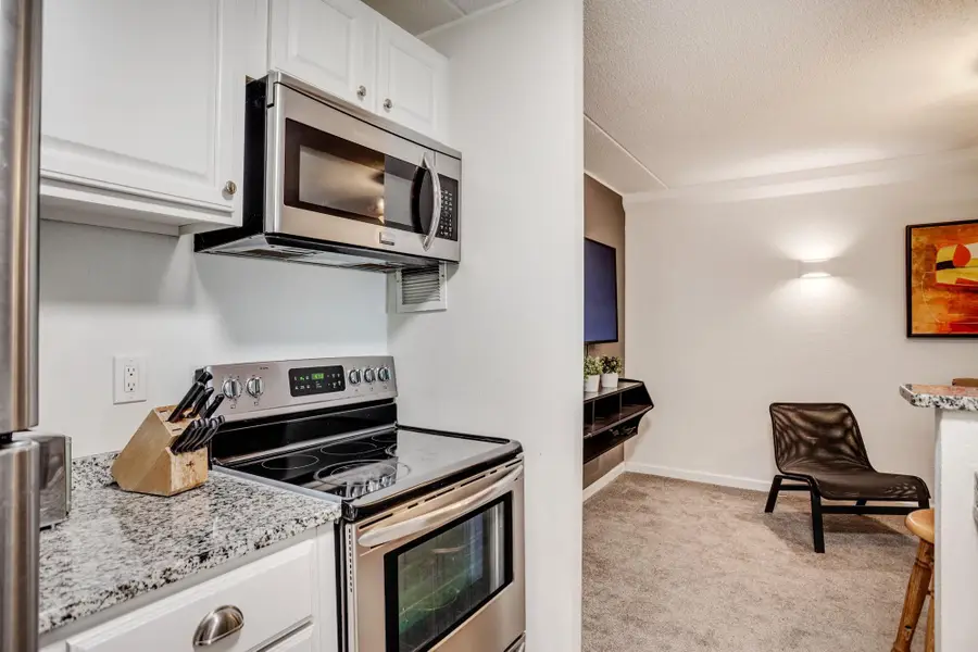 1920 S 1st Street #202, Minneapolis, MN 55454 - #3