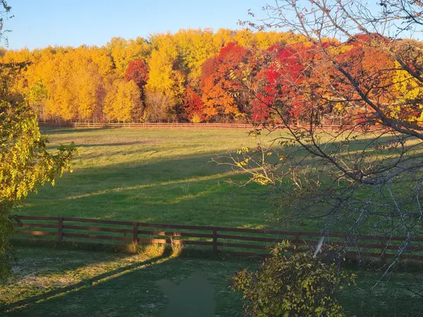 12049 Firefly Lane, Brainerd, MN 56401