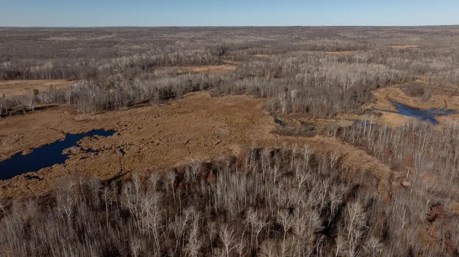 6876 County Road 1, Pine River, MN 56474 - #3