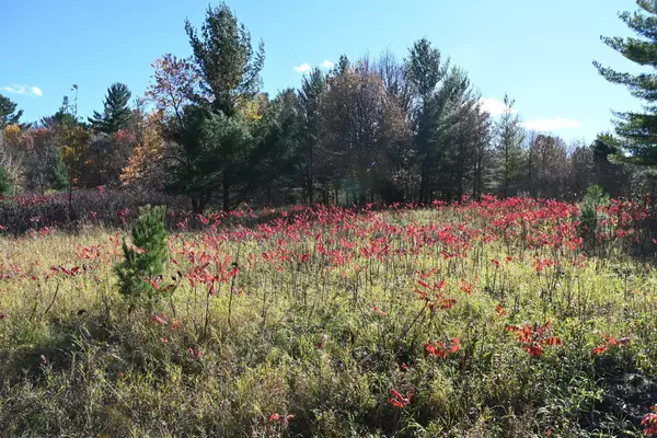 TBD Pike Court, Browerville, MN 56438