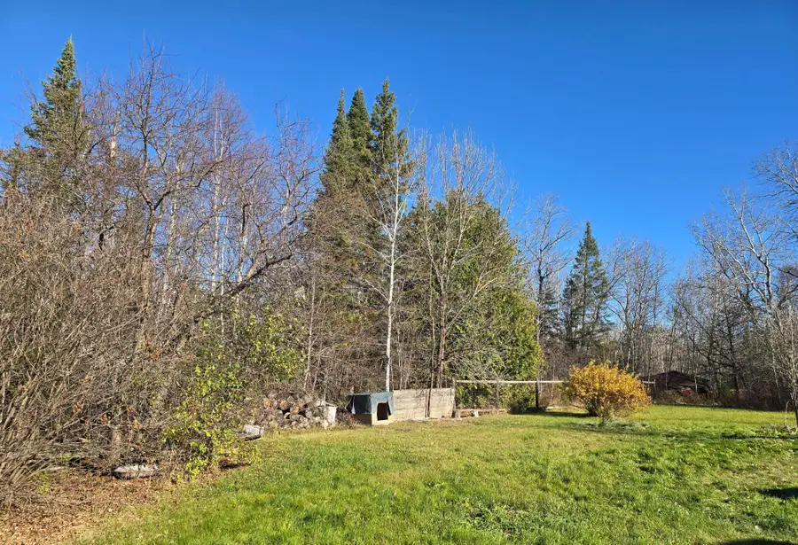 3111 Highway 332, International Falls, MN 56649 - #2