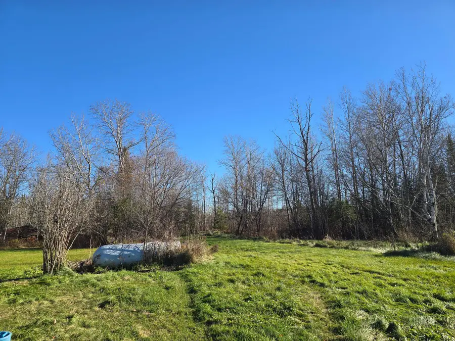 3111 Highway 332, International Falls, MN 56649 - #3