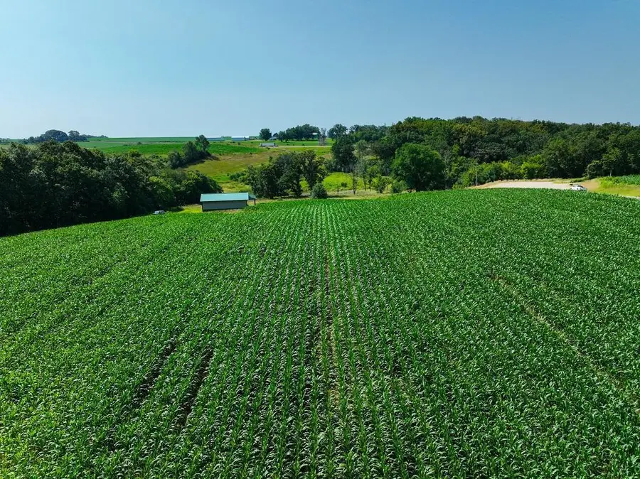 TBD30 Cherokee Road, Saint Charles, MN 55972 - Image #3