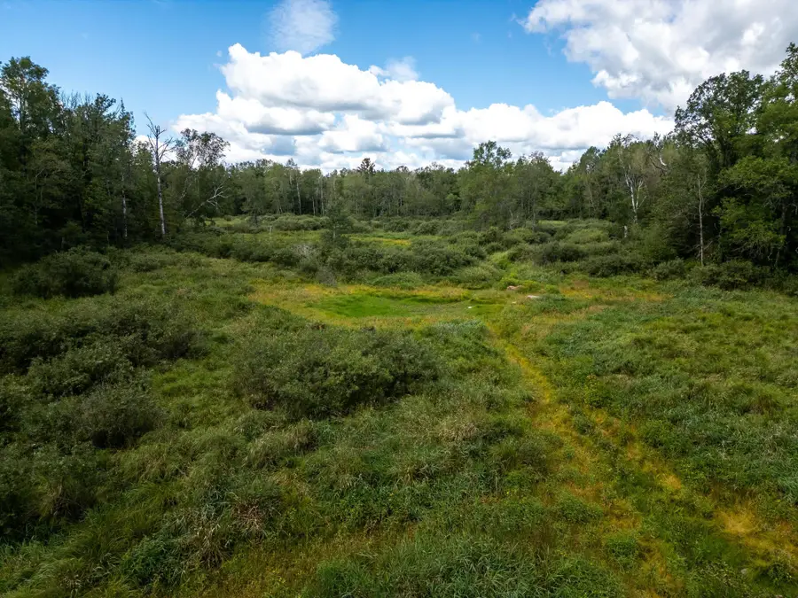 48029 110th Place, Tamarack, MN 55787 - #3