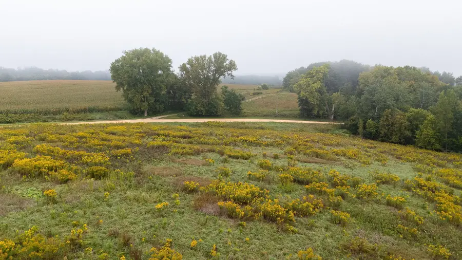 TBD (Lot  2) Goat Back Road, Pepin, WI 54759 - #2