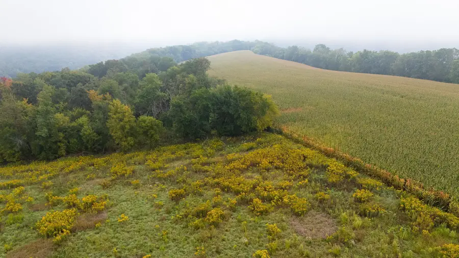 TBD (Lot  2) Goat Back Road, Pepin, WI 54759 - #3