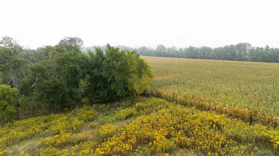 TBD (Lot 4) Goat Back Road, Pepin, WI 54759 - #2