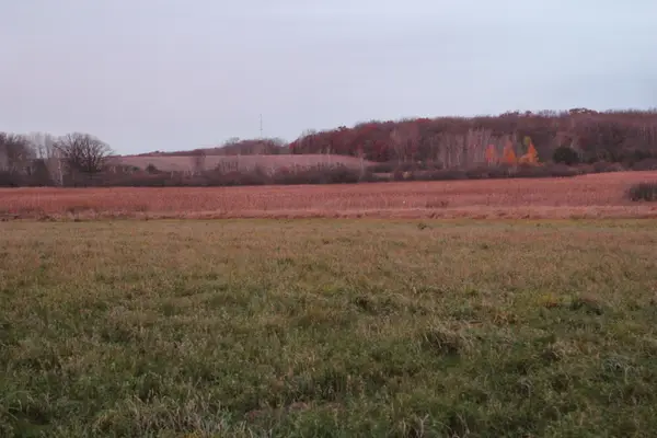 55xx Mayhew Lake Rd Ne, Sauk Rapids, MN 56379