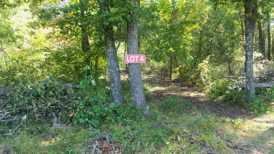 Lot 4 East River Rd, Grantsburg, WI 54840 - Image #2