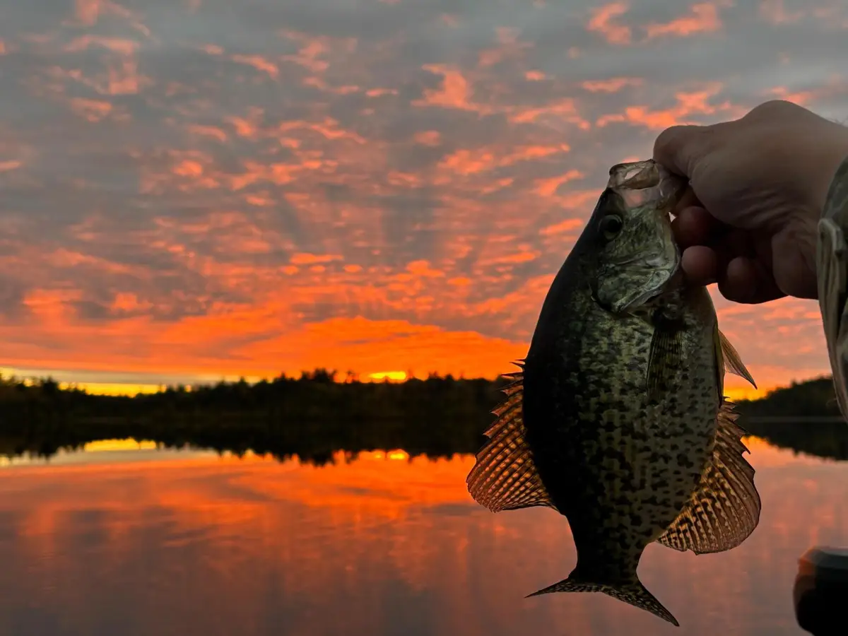 TBD Wilderness Way, Cook, MN 55723 - #1