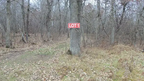 Lot 1 300th St, Saint Croix Falls, WI 54024