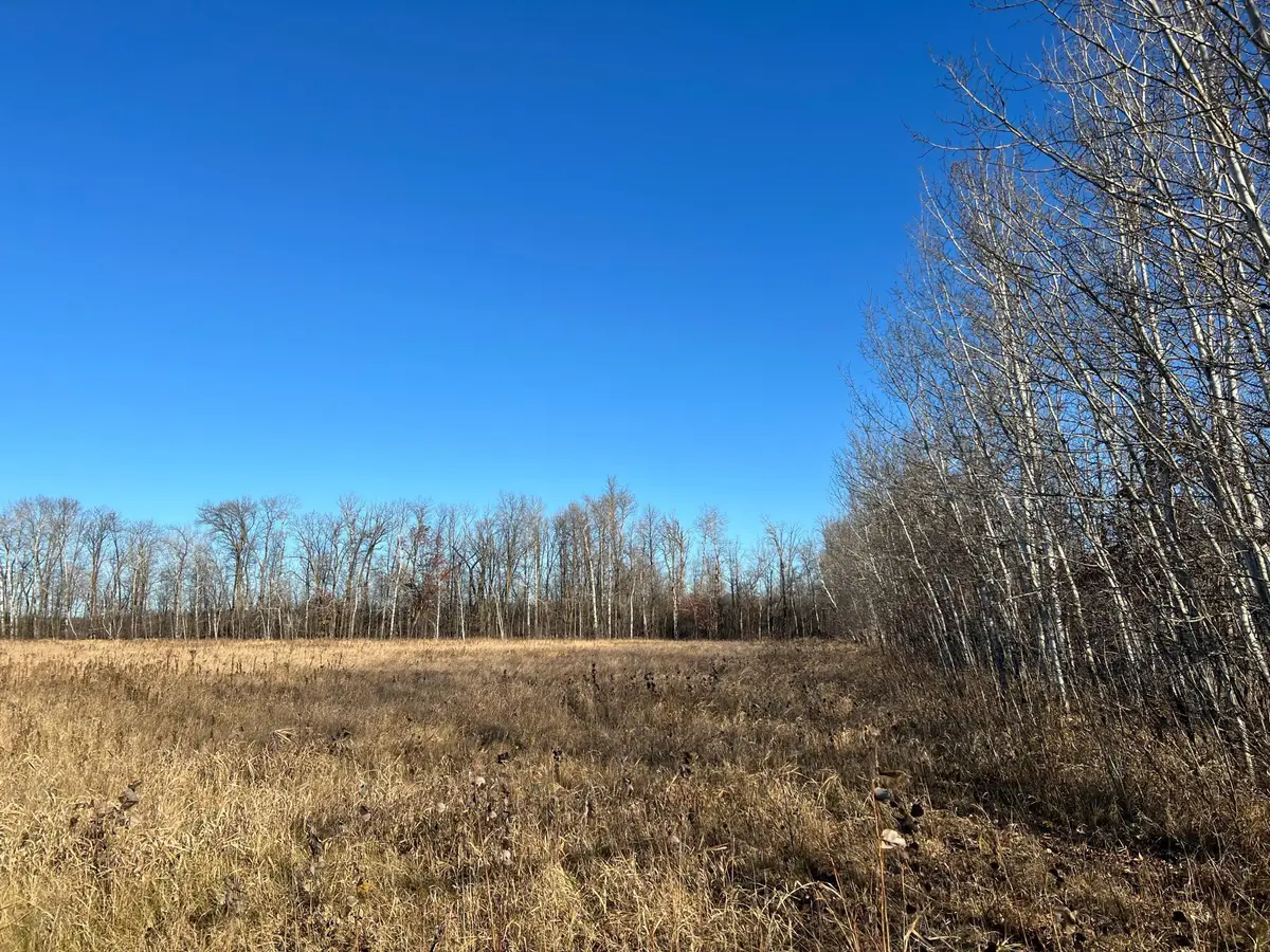 TBD Highway 23, Oak Park, MN 56357 - Image #1