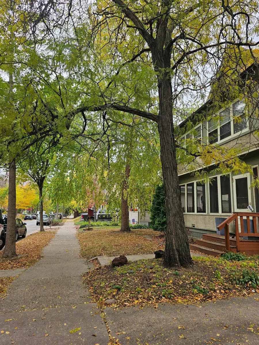3126 Emerson Avenue S, Minneapolis, MN 55408 - #2