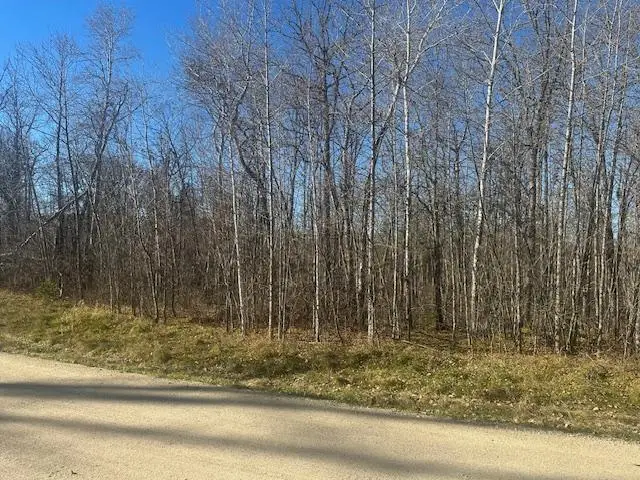 TBD Crest Court Ne, Bemidji, MN 56601 - Image #1