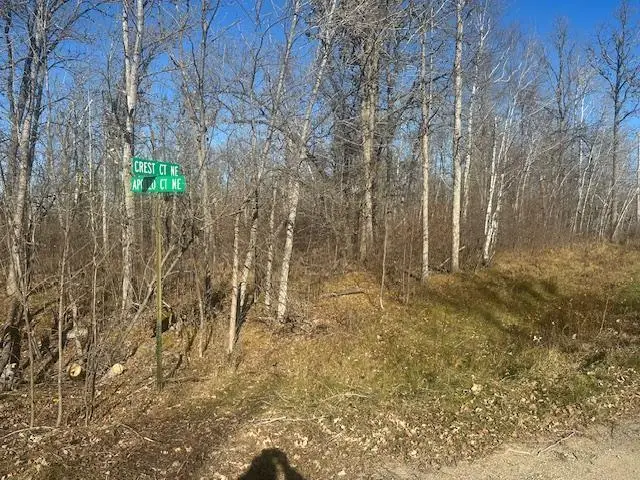 TBD Crest Court Ne, Bemidji, MN 56601 - Image #3