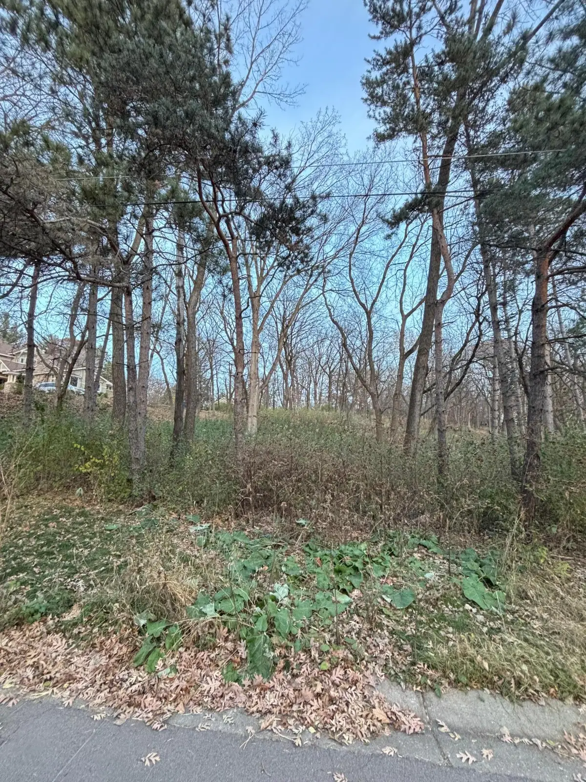 12786 Denmark Avenue, Apple Valley, MN 55124 - #1