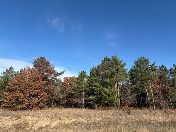 L8,Blk1 262nd Avenue Nw, Big Lake, MN 55309