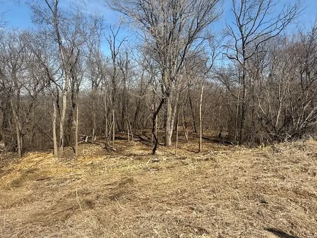 328 Limestone Road, Cannon Falls, MN 55009 - #1